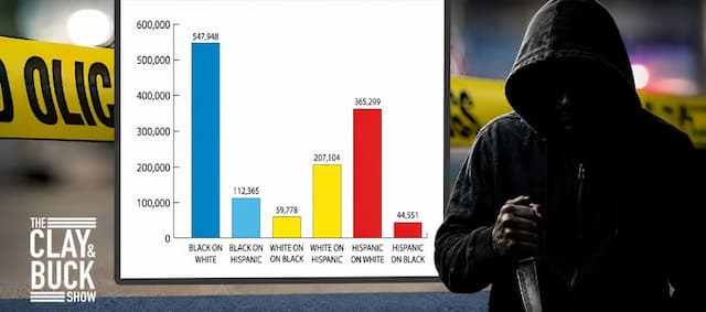 Cover Image for Shocking Interracial Crime Chart: Black-on-White Violence Nearly 10x Higher Than White-on-Black